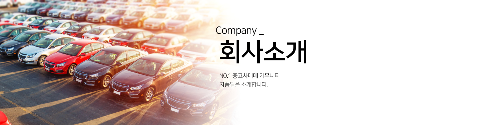 차품딜 소개