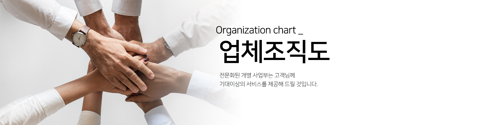 차품딜 소개