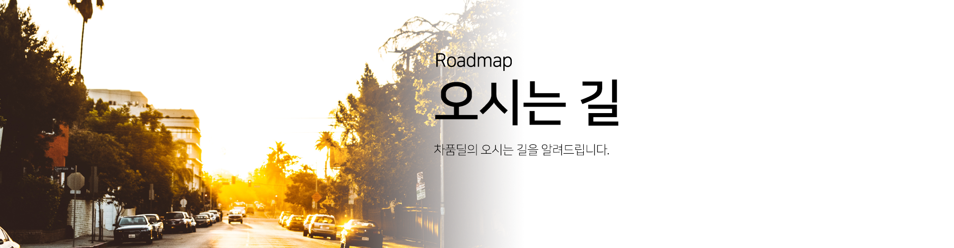 차품딜 소개